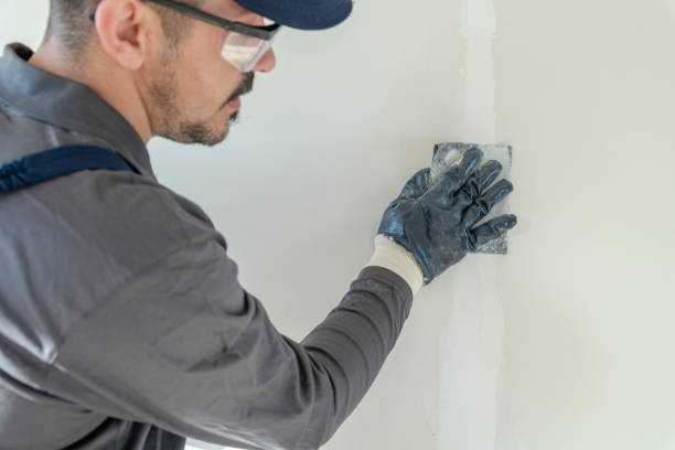 Professional Dry wall and painting in Hudson, MI